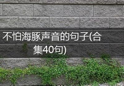 不怕海豚声音的句子(合集40句)
