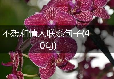 不想和情人联系句子(40句)
