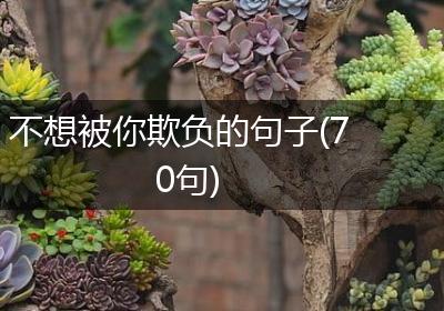 不想被你欺负的句子(70句)