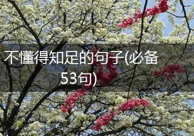 不懂得知足的句子(必备53句)