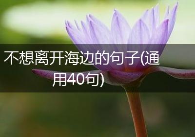 不想离开海边的句子(通用40句)