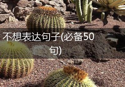 不想表达句子(必备50句)