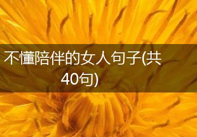 不懂陪伴的女人句子(共40句)