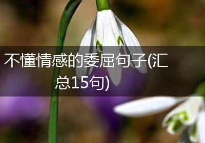 不懂情感的委屈句子(汇总15句)