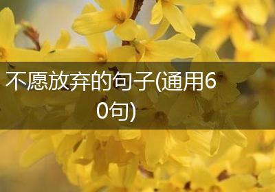 不愿放弃的句子(通用60句)