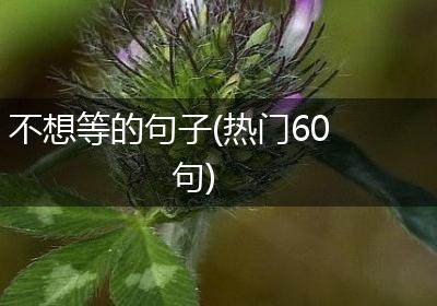 不想等的句子(热门60句)