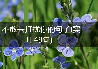 不敢去打扰你的句子(实用49句)