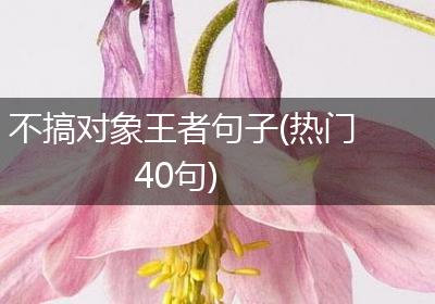 不搞对象王者句子(热门40句)