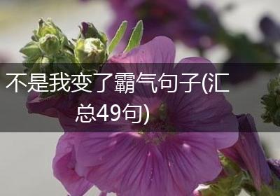 不是我变了霸气句子(汇总49句)