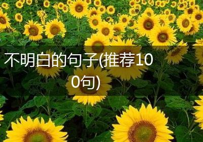不明白的句子(推荐100句)