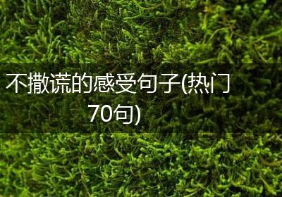 不撒谎的感受句子(热门70句)