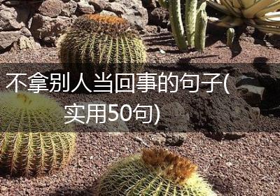 不拿别人当回事的句子(实用50句)