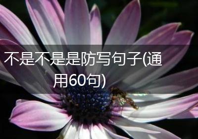 不是不是是防写句子(通用60句)