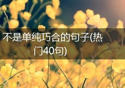 不是单纯巧合的句子(热门40句)