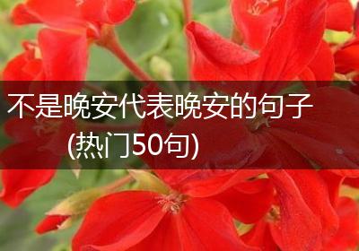 不是晚安代表晚安的句子(热门50句)
