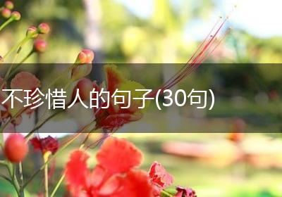 不珍惜人的句子(30句)