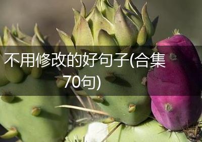 不用修改的好句子(合集70句)