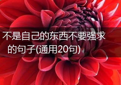 不是自己的东西不要强求的句子(通用20句)