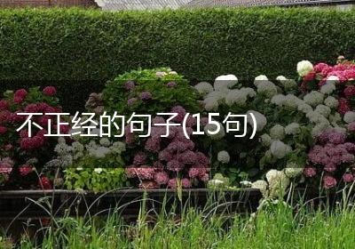 不正经的句子(15句)