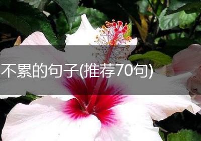 不累的句子(推荐70句)