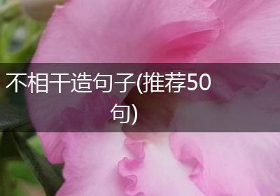 不相干造句子(推荐50句)