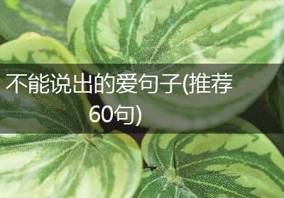 不能说出的爱句子(推荐60句)