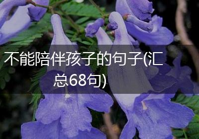 不能陪伴孩子的句子(汇总68句)