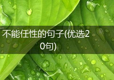 不能任性的句子(优选20句)
