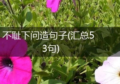 不耻下问造句子(汇总53句)
