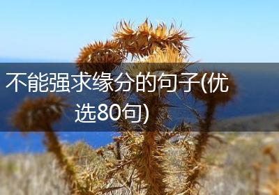 不能强求缘分的句子(优选80句)