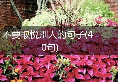 不要取悦别人的句子(40句)