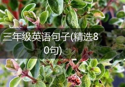 三年级英语句子(精选80句)