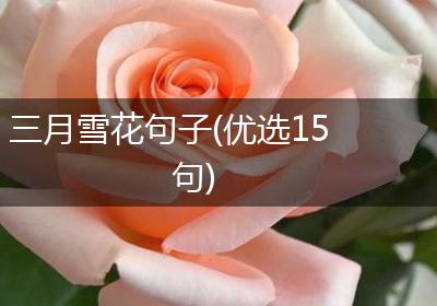 三月雪花句子(优选15句)