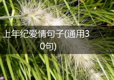 上年纪爱情句子(通用30句)