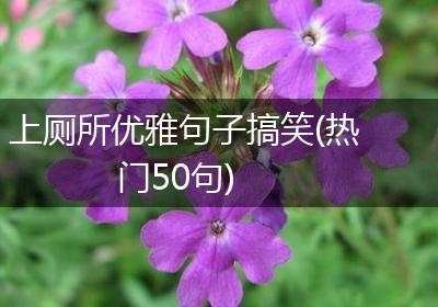 上厕所优雅句子搞笑(热门50句)