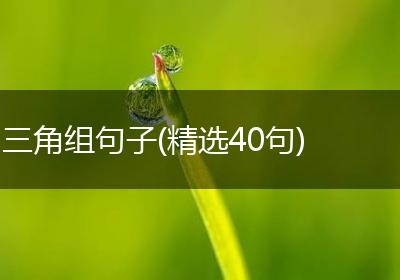三角组句子(精选40句)
