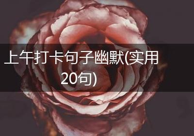 上午打卡句子幽默(实用20句)