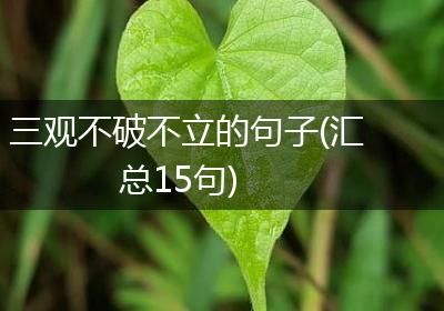 三观不破不立的句子(汇总15句)