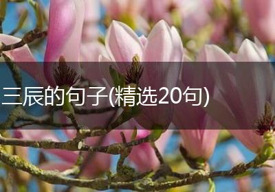 三辰的句子(精选20句)