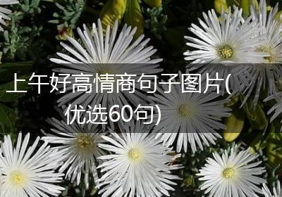 上午好高情商句子图片(优选60句)