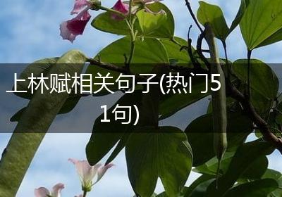 上林赋相关句子(热门51句)