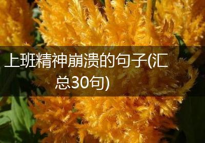 上班精神崩溃的句子(汇总30句)