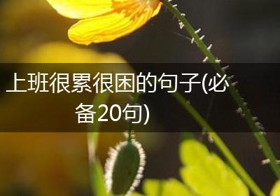 上班很累很困的句子(必备20句)