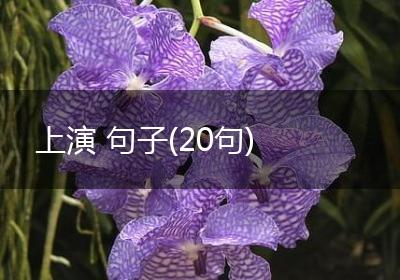 上演 句子(20句)