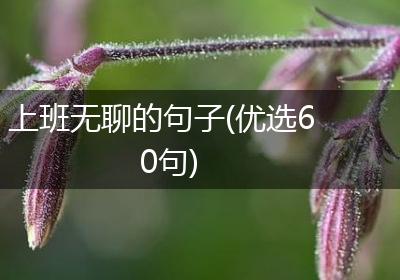 上班无聊的句子(优选60句)
