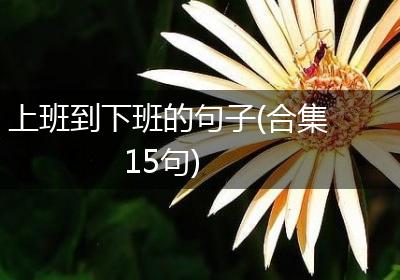 上班到下班的句子(合集15句)