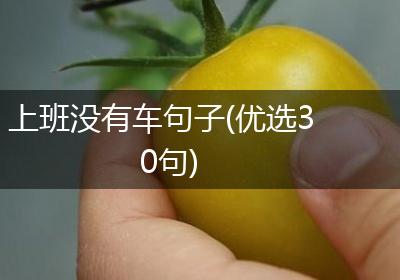 上班没有车句子(优选30句)