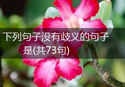下列句子没有歧义的句子是(共73句)