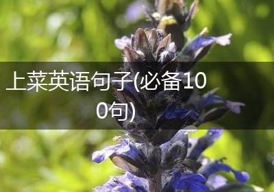 上菜英语句子(必备100句)