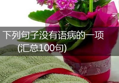 下列句子没有语病的一项(汇总100句)